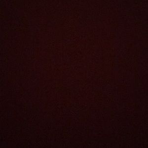 Meet your Posher, Shanice